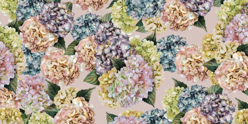 Skellern, Sue: Hydrangeas_Pinky