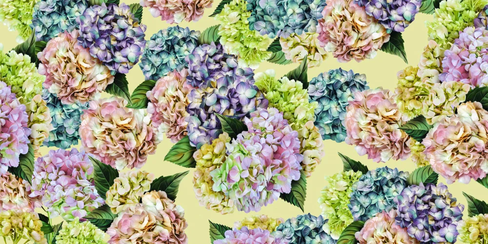 Skellern, Sue: Hydrangeas_Mustard