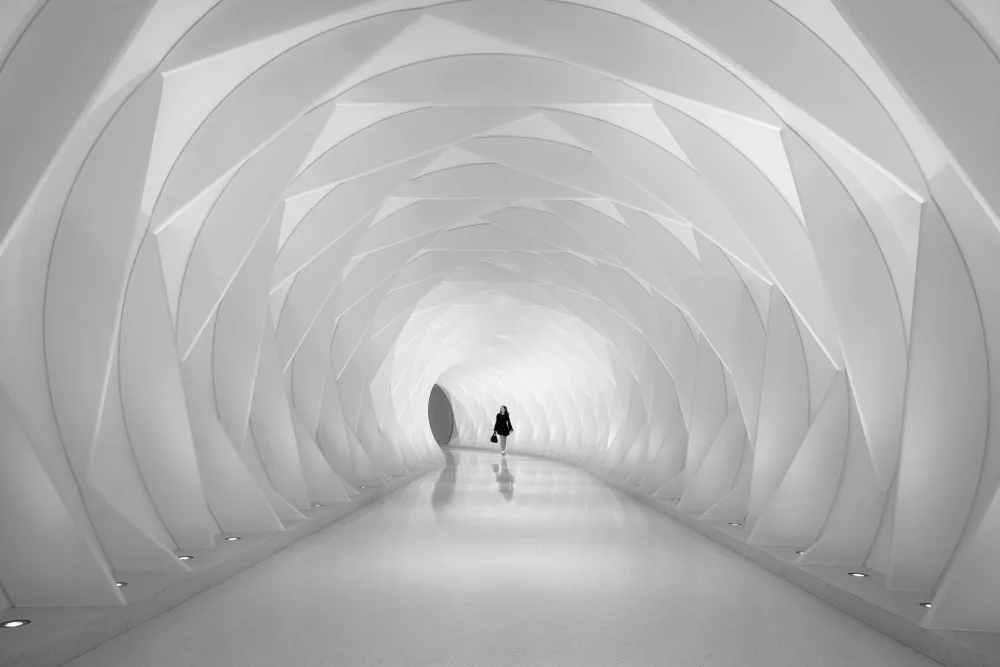 Jian, Li: Bridge to the Museum of Future