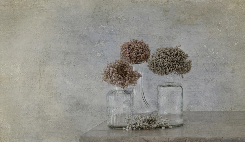 Stas, Marie-anne: Still life
