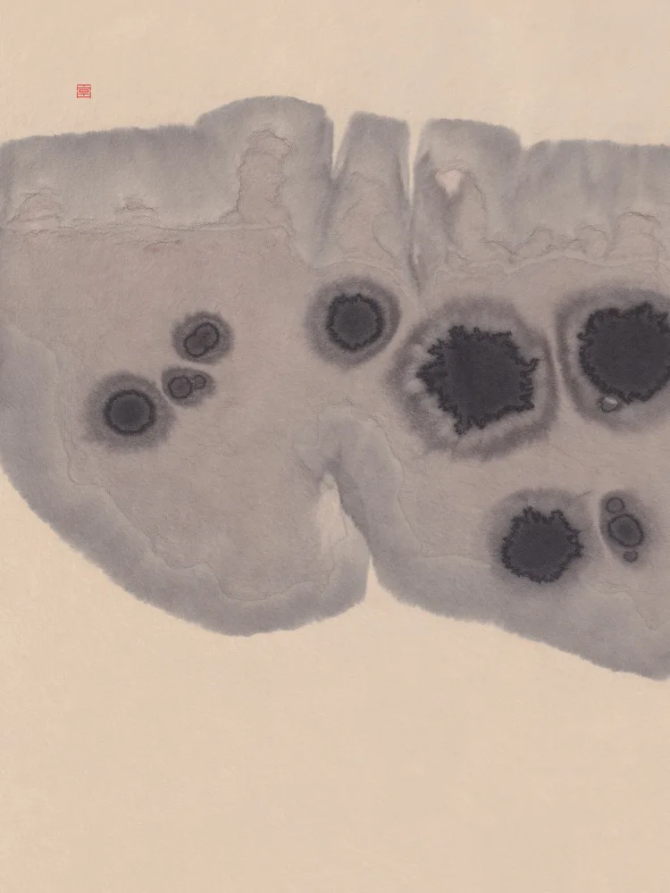 Adan, Thoth: Study N°7 | Epidermis