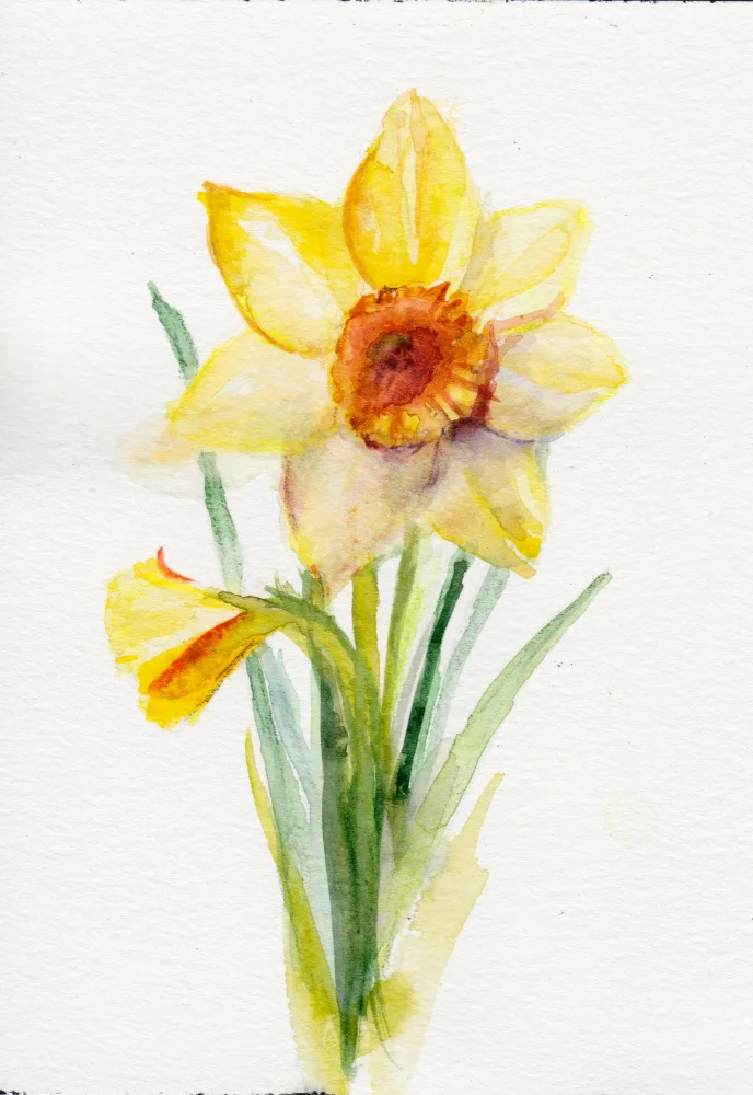 Lindstrom, Christine: Daffodil March Copy