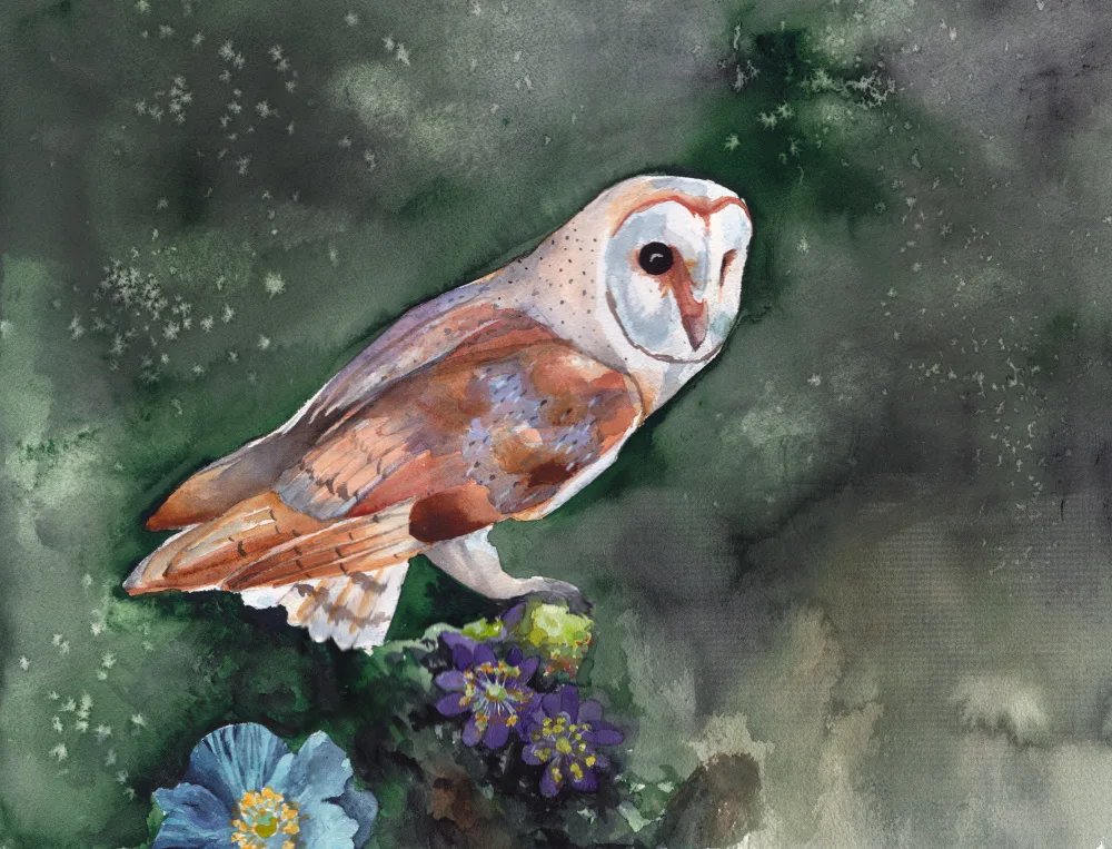 Lindstrom, Christine: Barn Owl Large