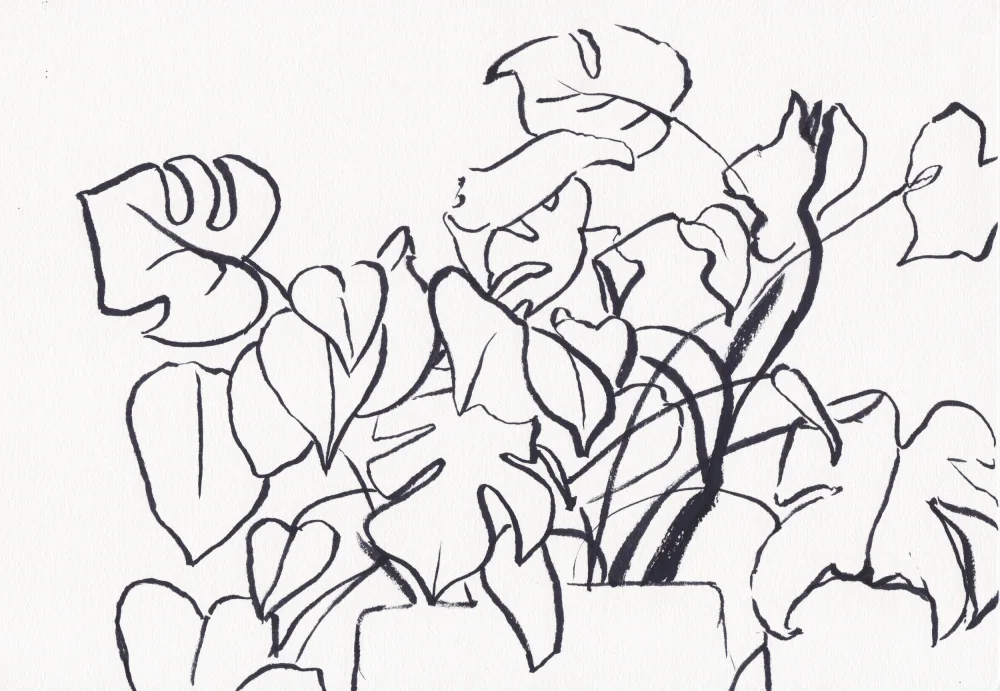 Lindstrom, Christine: Monstera noir et blanc petit