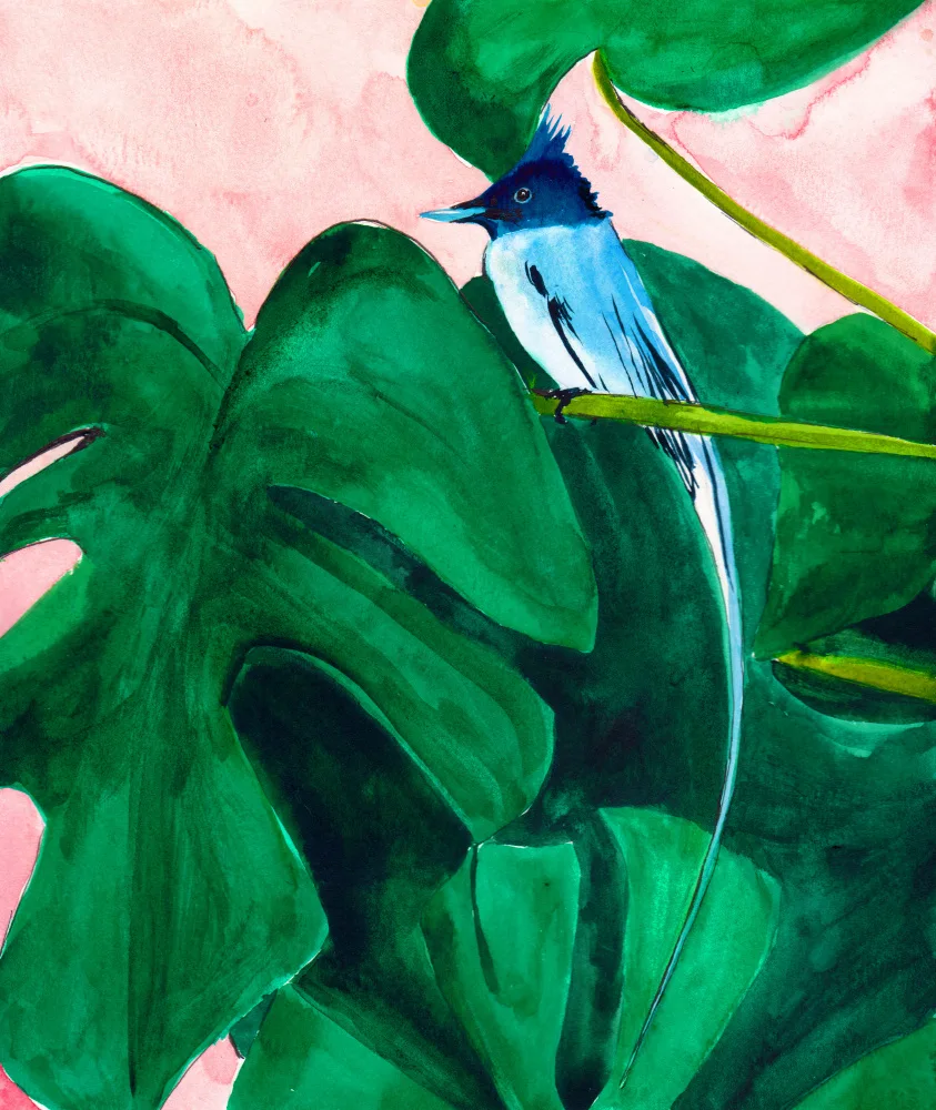 Lindstrom, Christine: Oiseau bleu dans la plante Monstera petite