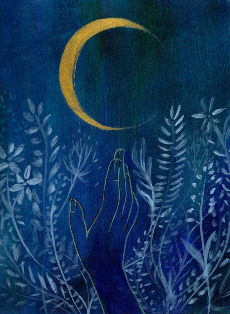 Lindstrom, Christine: Fleur Lune