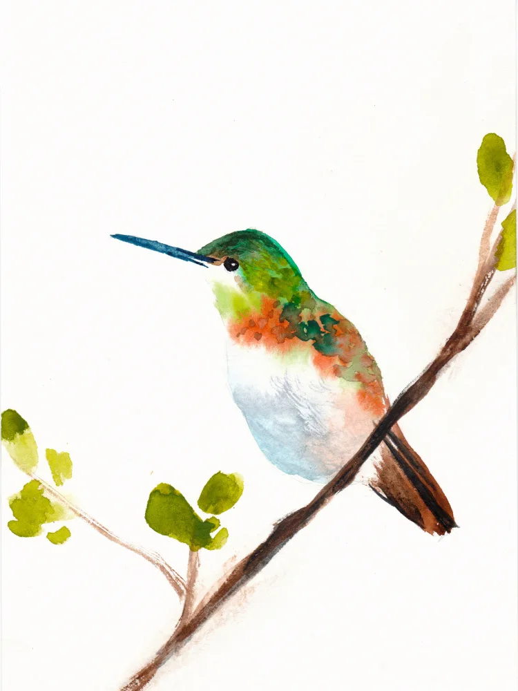 Lindstrom, Christine: Hummingbird Small