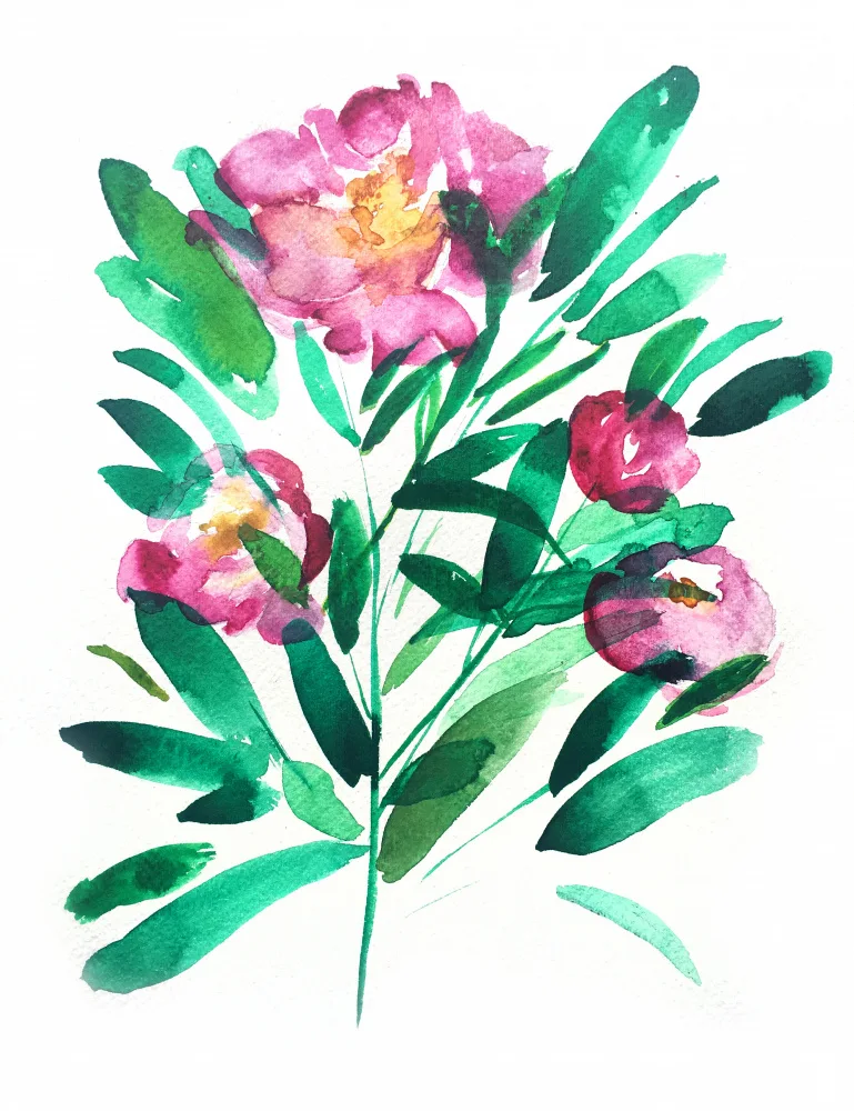 Lindstrom, Christine: Pivoines IV