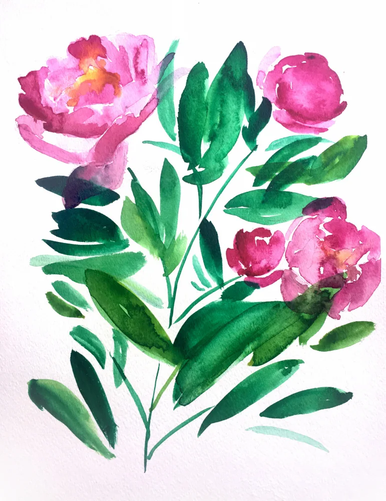 Lindstrom, Christine: Peoniesiii