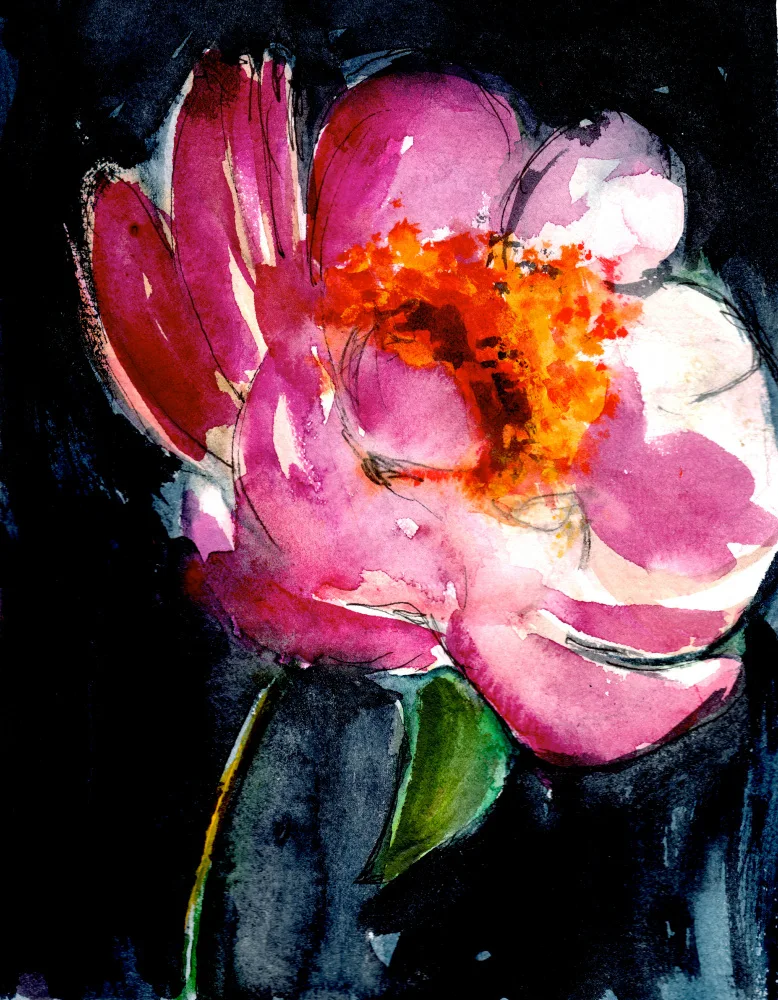 Lindstrom, Christine: Pivoine II
