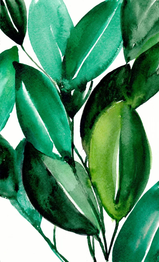 Lindstrom, Christine: Plante d'hévéa