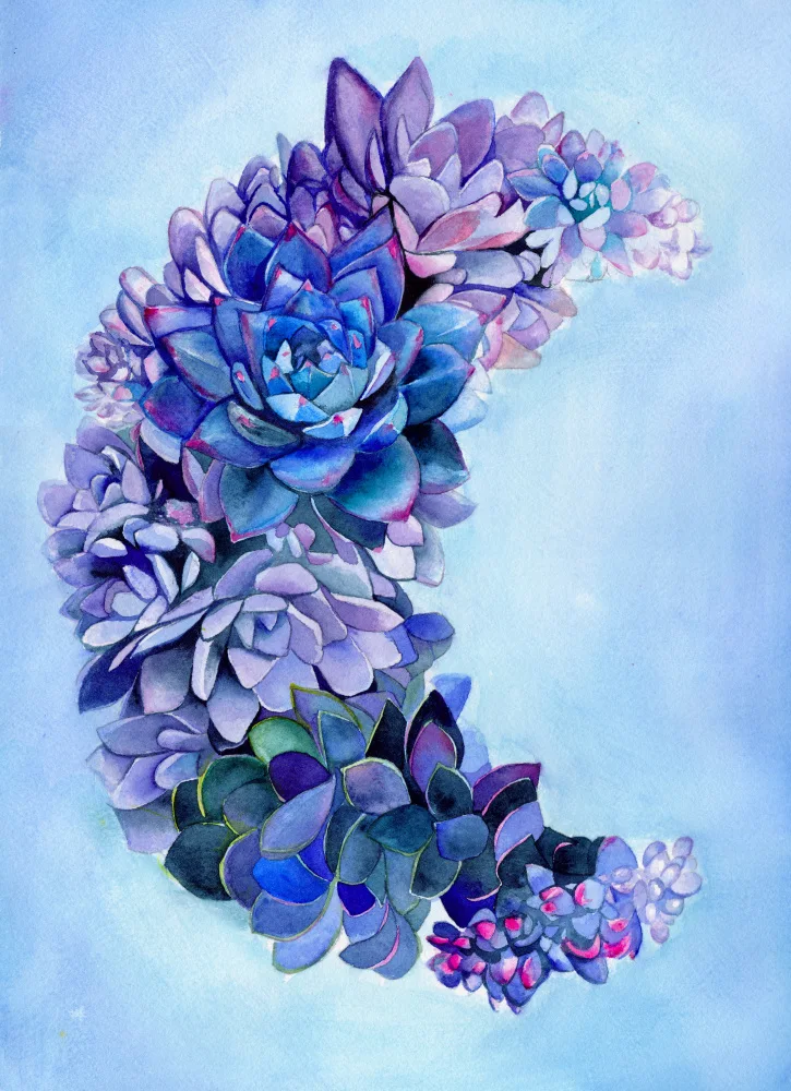 Lindstrom, Christine: Succulent Moon Garden Large