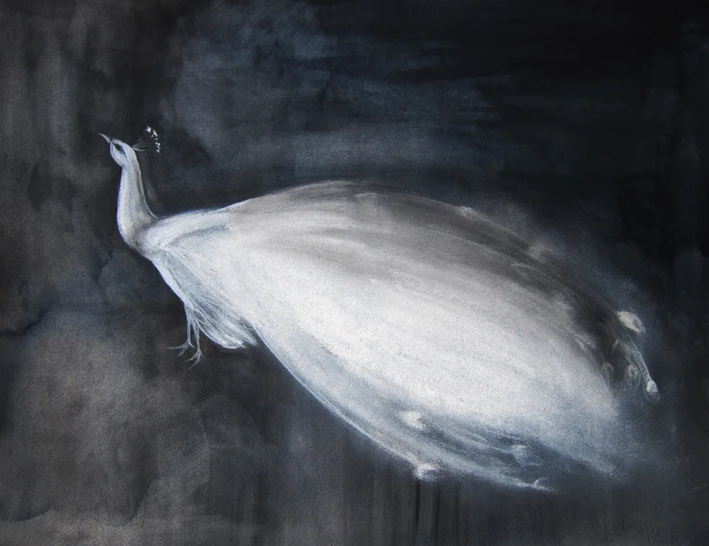 Lindstrom, Christine: White Peacock