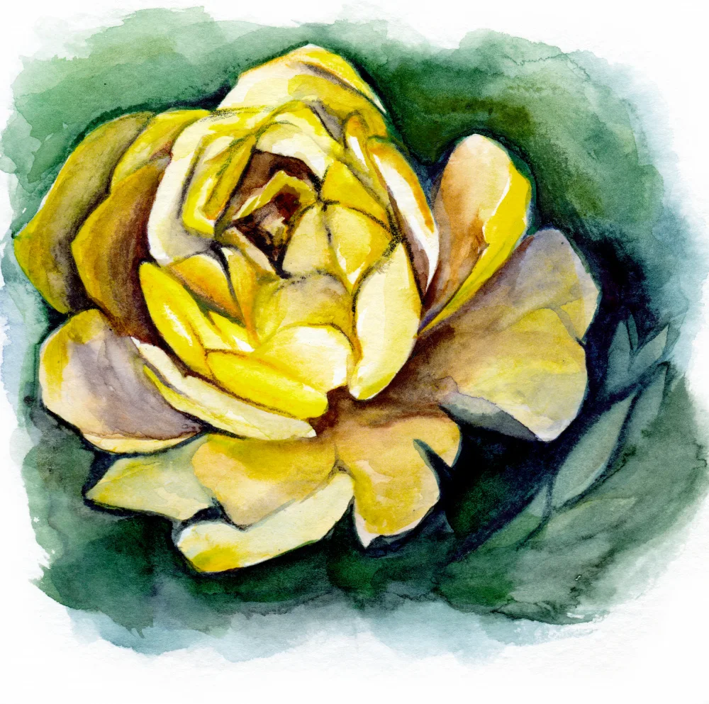 Lindstrom, Christine: Yellow Peony