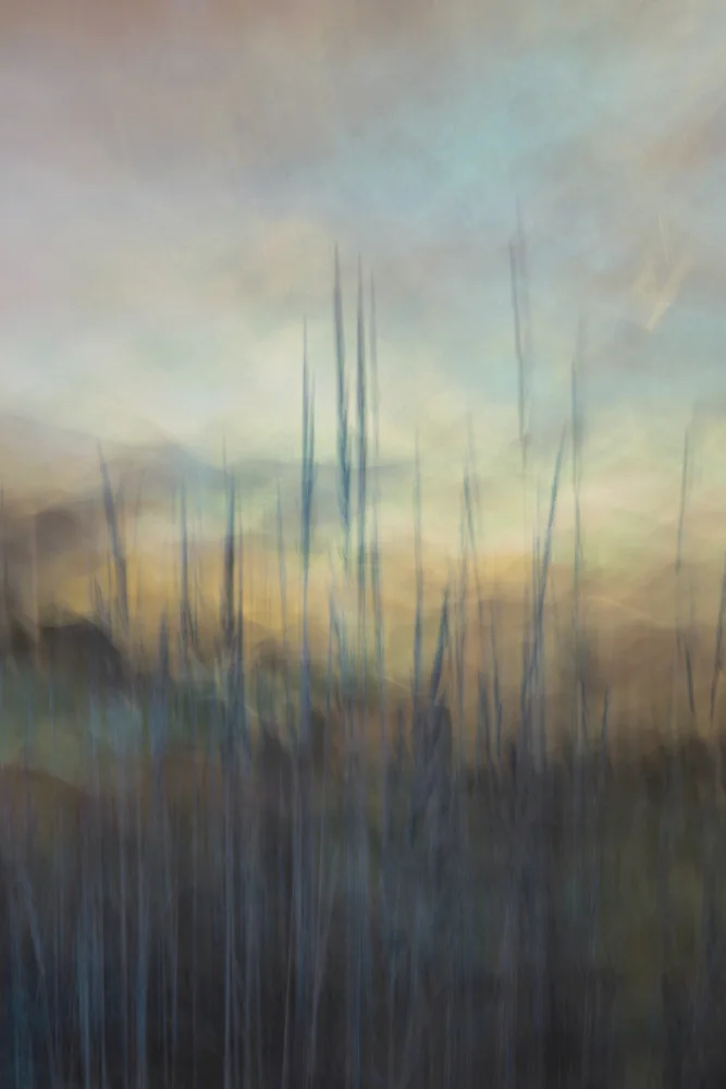 Sillen, Christina: Blue grass