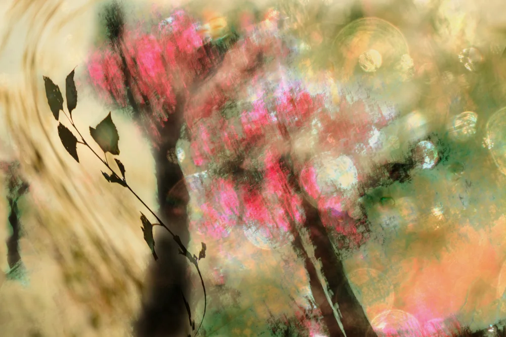 Sillen, Christina: Spring light