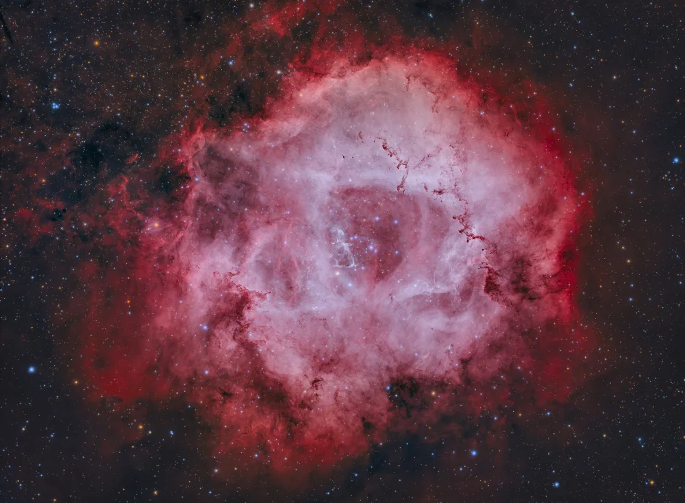 Rodriguez, Maria Rosa: Roseta Nebula