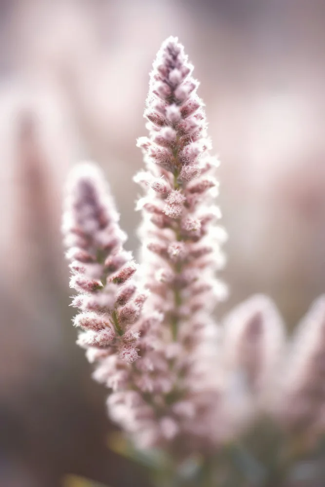 Treechild: Naturedetailno2
