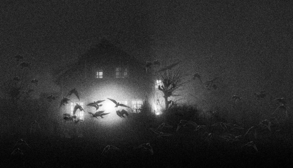Johansen, Viggo: Foggy night