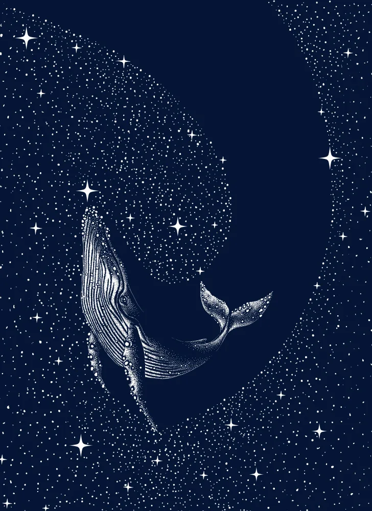 ÇAKIR, Alirıza: Starry Whale