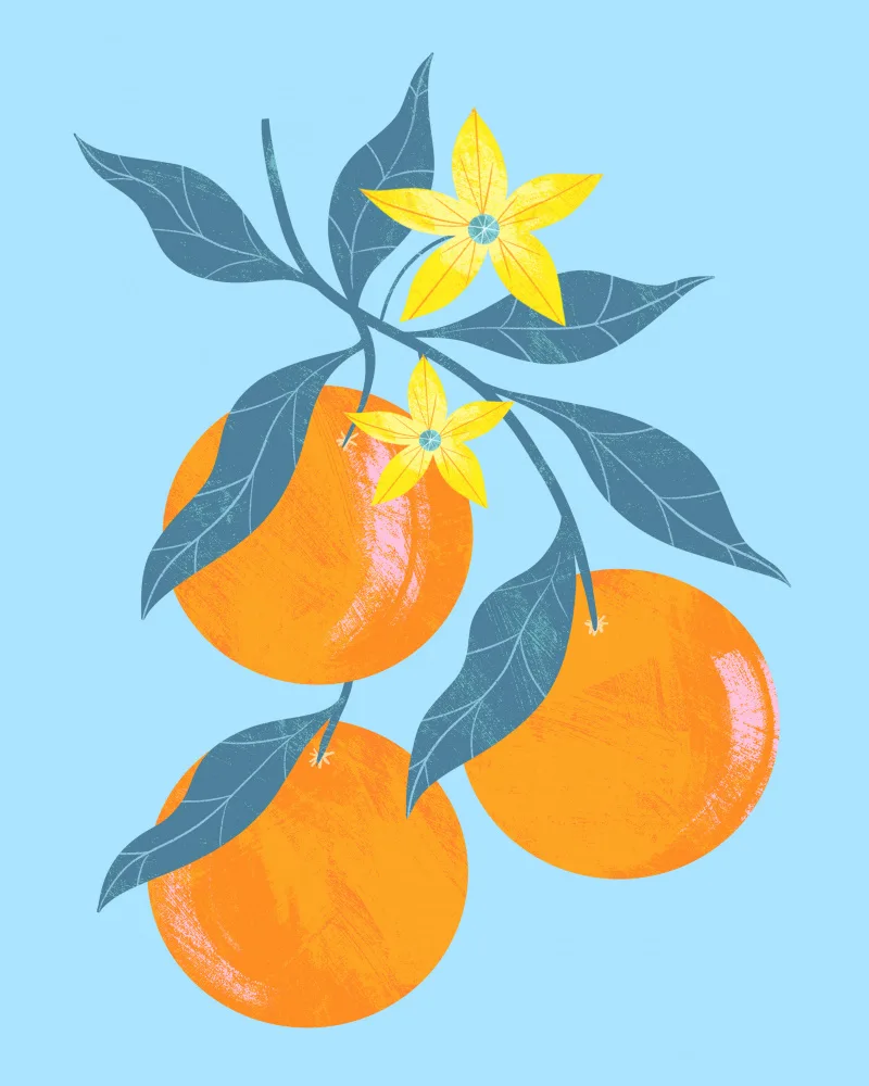 Donne, Melissa: Orange Branch