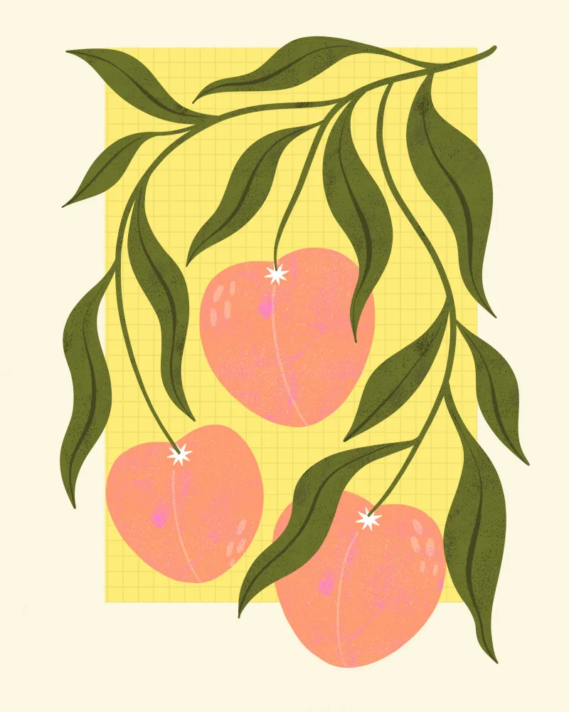 Donne, Melissa: Peaches