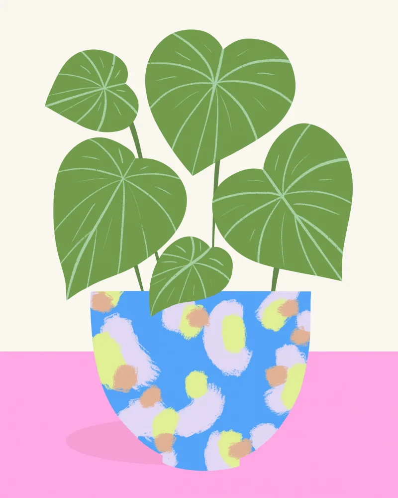 Donne, Melissa: Plant in Patterned Pot