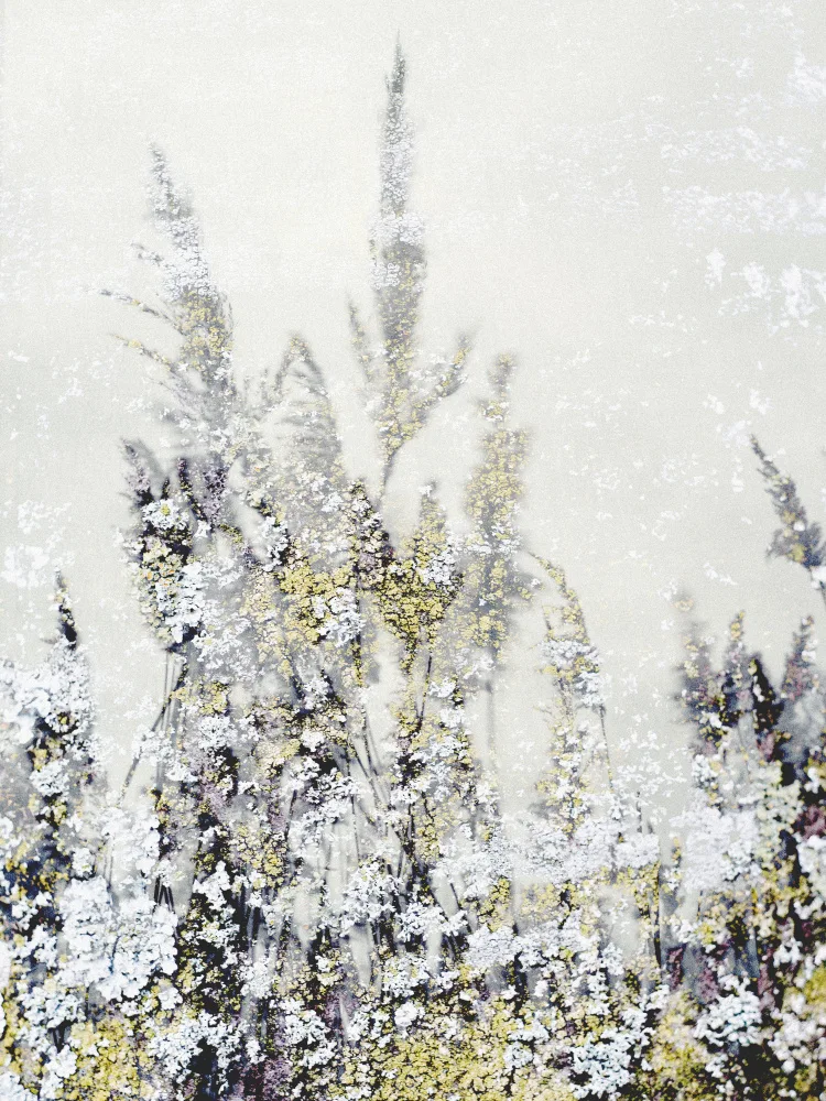 Imaginative: Erba danzante 3