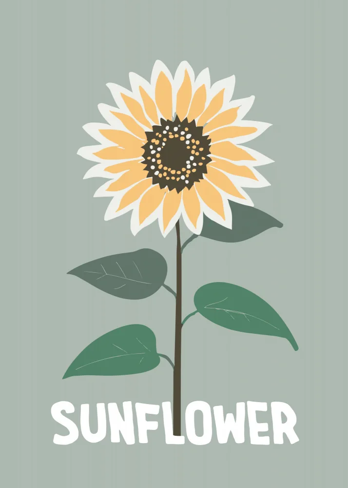 Magnusson, Andreas: Sunflower