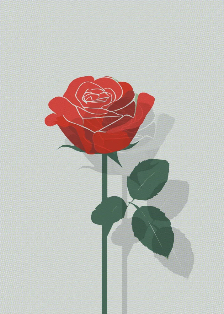 Magnusson, Andreas: Rosa en trama