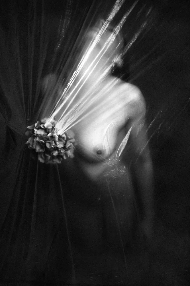 Cinteza, Marius: Wrapped
