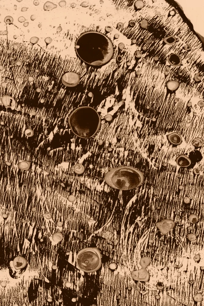 Adiels, Alexander: Oxygen