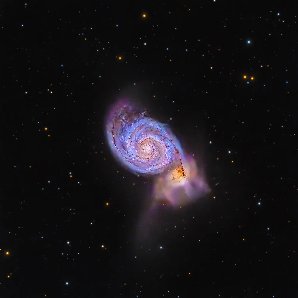 Rodriguez, Maria Rosa: Whirlpool Galaxy