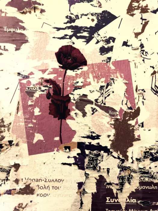 Strnad, Petr: Petal in Chaos