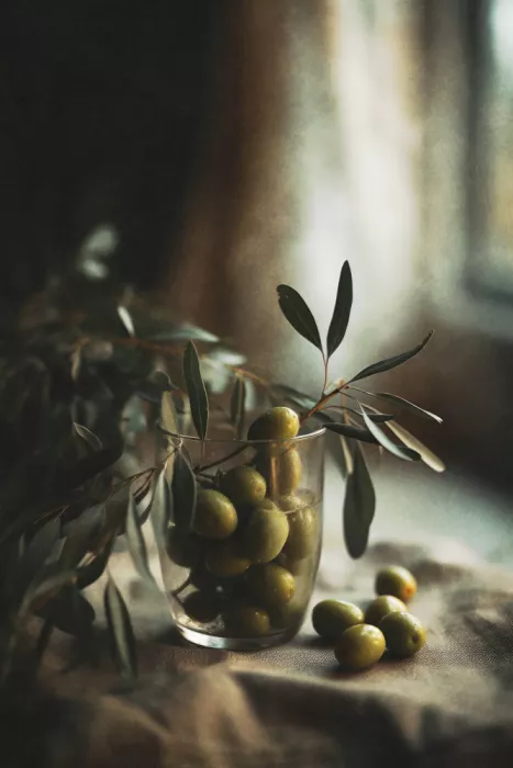 Treechild: Olivenfriede