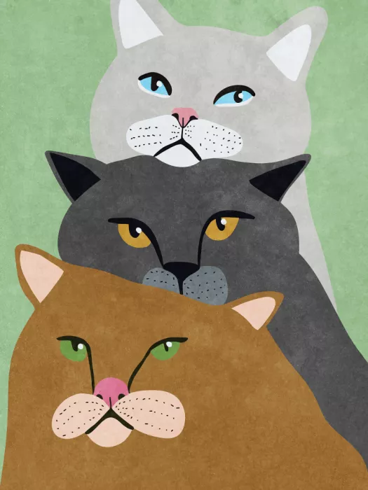 Oltmanns, Raissa: Cat Trio