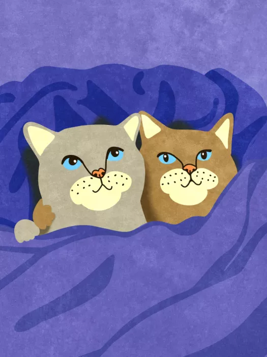 Oltmanns, Raissa: Cats in Bed