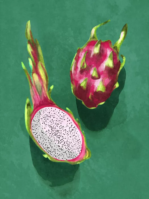 Oltmanns, Raissa: Dragonfruit