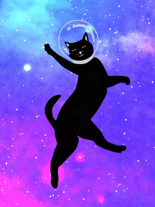 Oltmanns, Raissa: Happy Space Cat
