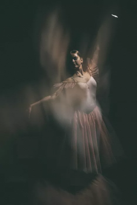 Kaprano, Normunds: Ballerina 5