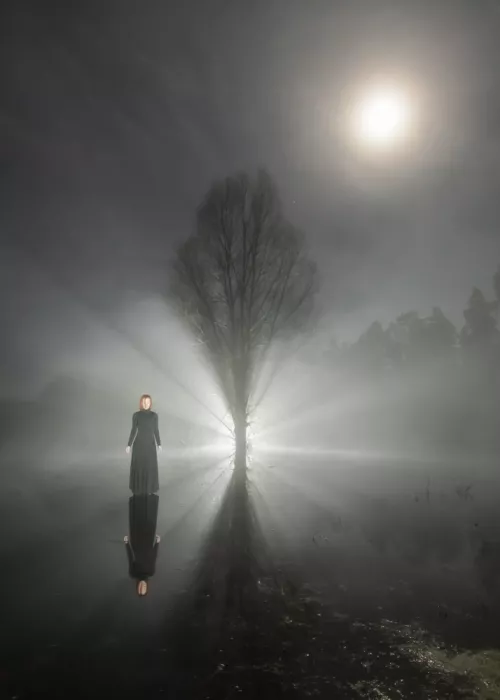 Paradowski, Leszek: Notte al chiaro di luna