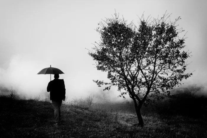 Borsan, Valentin: In long forgotten lands