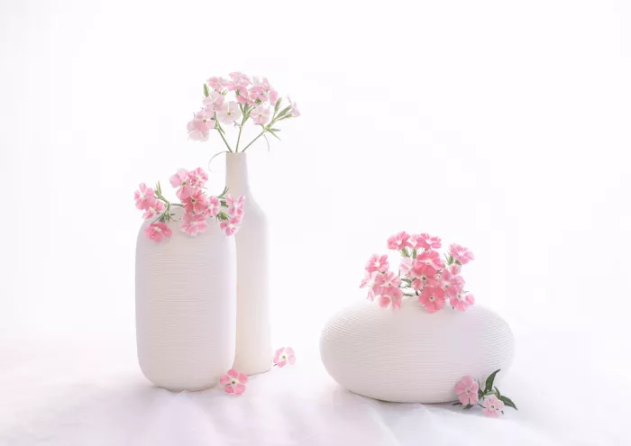 Sheng, Alice: nature morte 114