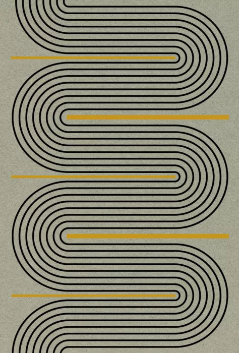 Studio, Miuus The: Curved Echoes