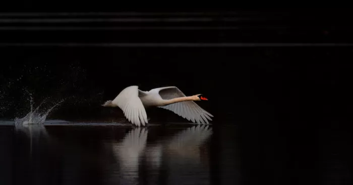 Xu, Wei: Running on water