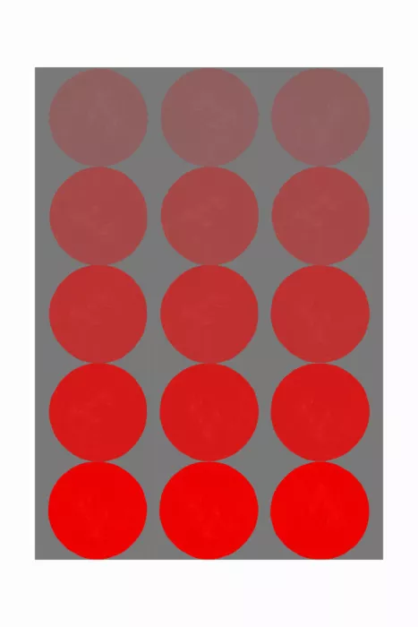 Blursbyai, Laiz Rosana: Bauhaus-Kontrast der Sättigung