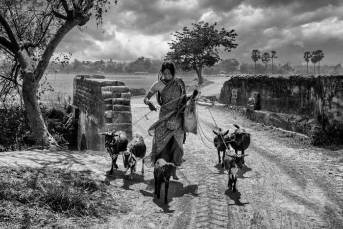 Chakraborty, Sudipta: Return to Home