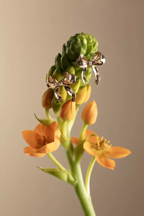 Ramiro, Julia: Boucles d
