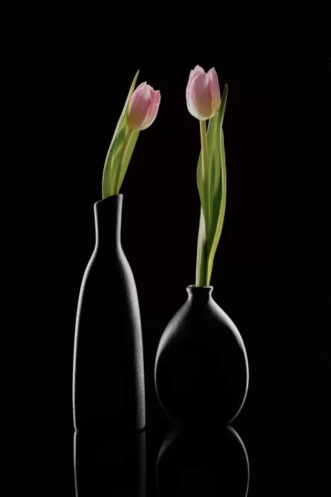 Lu, Linda: Still life