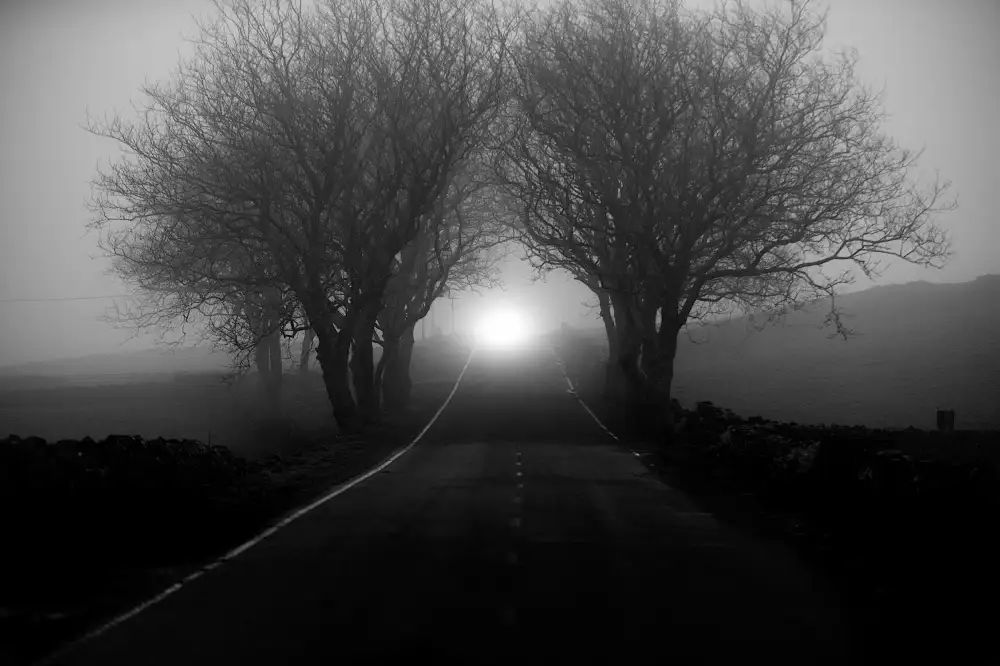 Caria, Rui: Fog